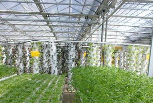 栟茶阳光福利院_南通6000元养老院排名前十