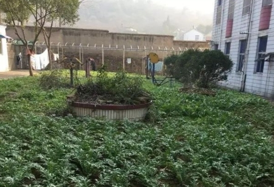 巢湖市椿萱同乐老年公寓_合肥较好的养老院收费价格表,合肥正规机构养老院