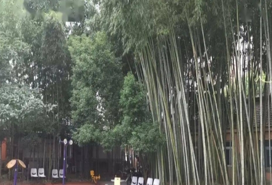  上海民乐养护院环境图片