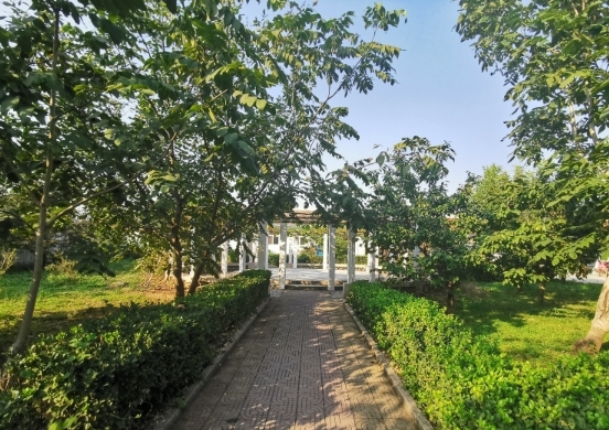 千禾老年公寓(认知症照护基地)_北京养老院地址,北京养老院价格