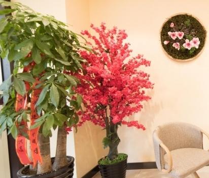 时代芳华养老中心铁西云峰院区环境图片