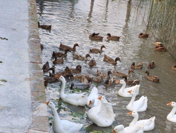 南通市通州区颐和舒雅老年公寓环境图片