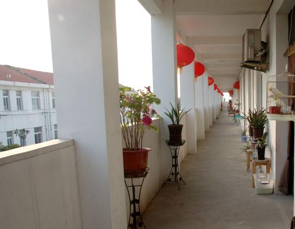 无为市泥汊老年公寓_芜湖老年公寓,芜湖老年公寓养老中心