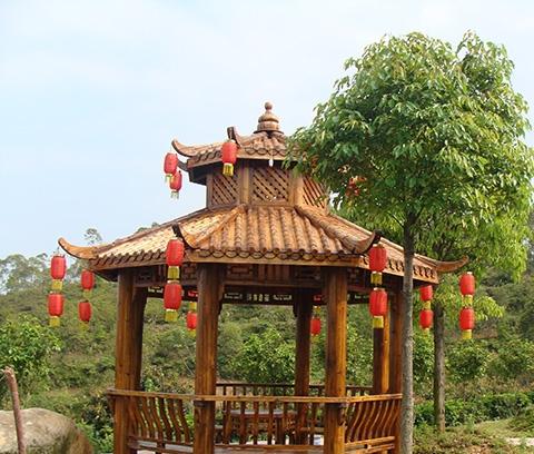 梅县区福晋富硒养生谷（福晋老年公寓）_梅州中上等养老院,梅州梅江区养老院