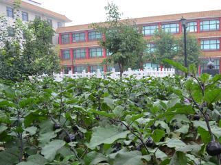 祥云生态养老公寓_石家庄中高档老年公寓电话