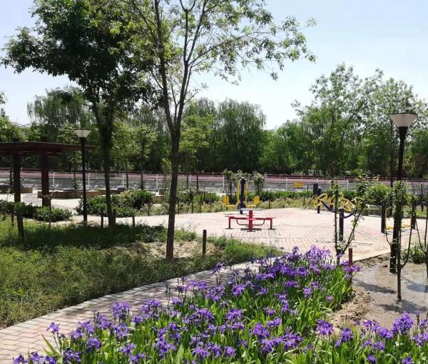 春晖园养老医疗康复中心_衡水老年痴呆老年公寓,衡水老年活动中心地址