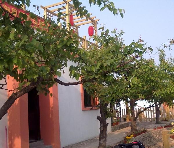 悦养居墅式疗养中心_石家庄失智养老院介绍几家,石家庄失能老人办理条件