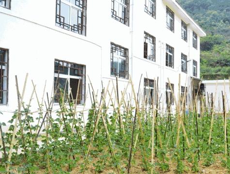 高坪街道敬老院环境图片