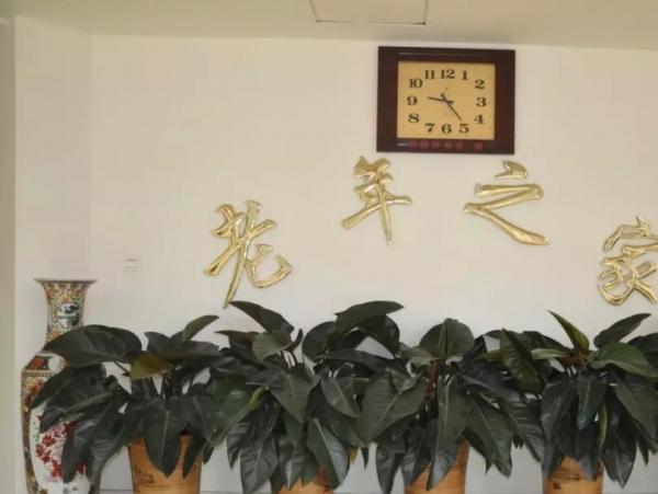 德州市老年人颐养服务中心_德州有名的养老社区,德州有名的养老社区在哪里