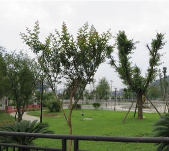 绵阳市中心社会福利院_绵阳5000元左右老年护理院列举几家