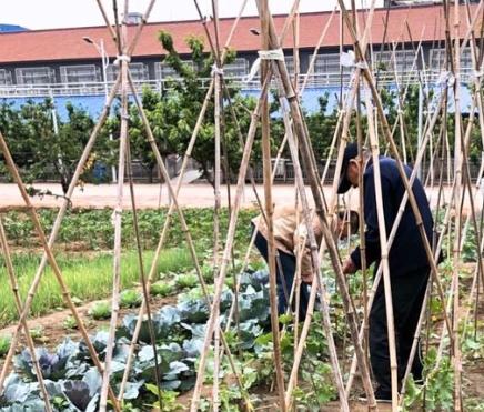 开平区泰居养老公寓_唐山养老社区排名前十,唐山养老社区排名前十名