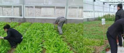 龙山老年书画休闲养老中心_秦皇岛6000元养老院排名,秦皇岛养老院收费标准