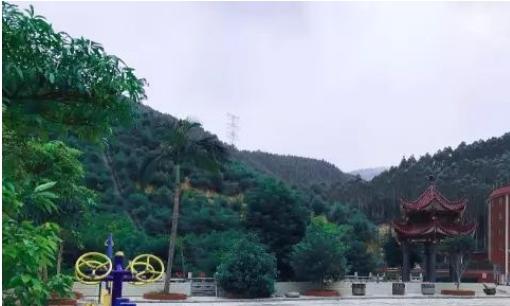 福建省仙游县尾板村养老院_莆田交通方便养老院,福建省莆田市养老院排名