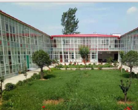 新密市橄榄山老年公寓环境图片