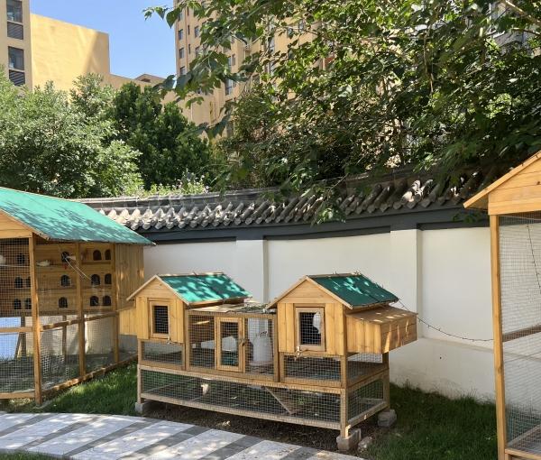 乐仁·恒颐康养护理中心（乐仁堂旗下）环境图片