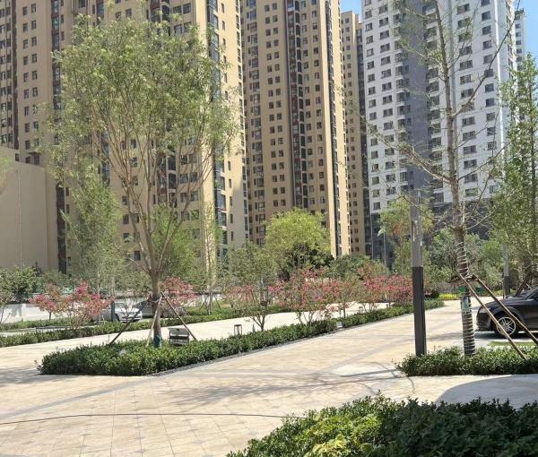 乐仁·恒颐康养护理中心（乐仁堂旗下）环境图片