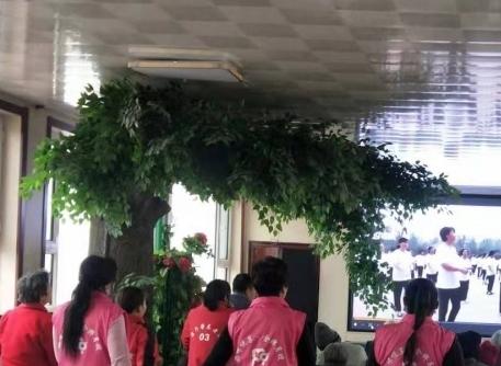 原平市康乃馨养老院环境图片