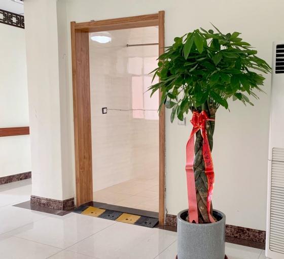 丹东市康达中医院长期照护科_丹东高端老年公寓,丹东最大的养老院是哪家