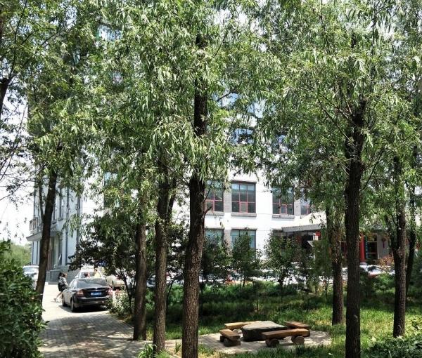 河北平山县野生原老年公寓环境图片