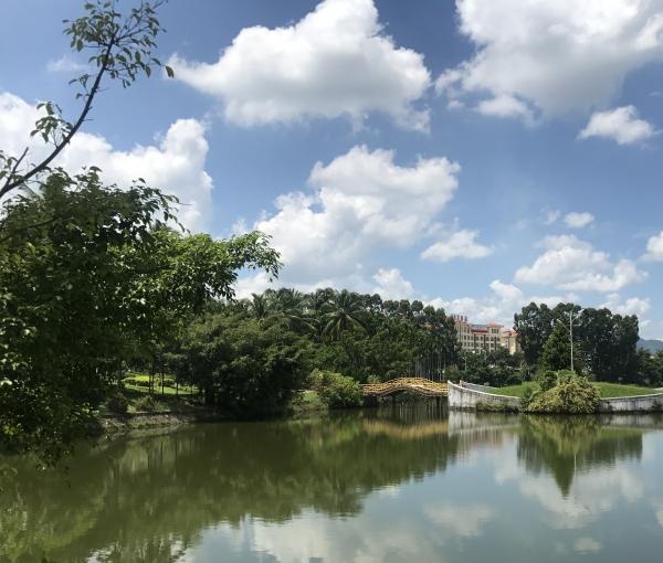 海南椿龄居养老度假基地环境图片