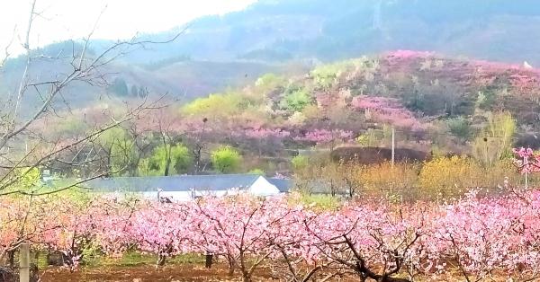 九如城锦绣川康养中心_济南中高档养老院名单,济南市最好的养老院是哪一家