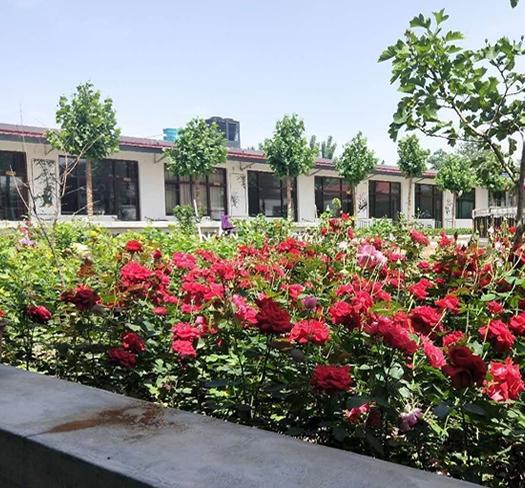 保定市满城区兴广祥和老年公寓_保定正规养老院,保定正规机构养老院