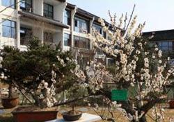 紫荆花怡养小镇—怡园_六安附近老年公寓介绍几家,六安老年大学电话号码