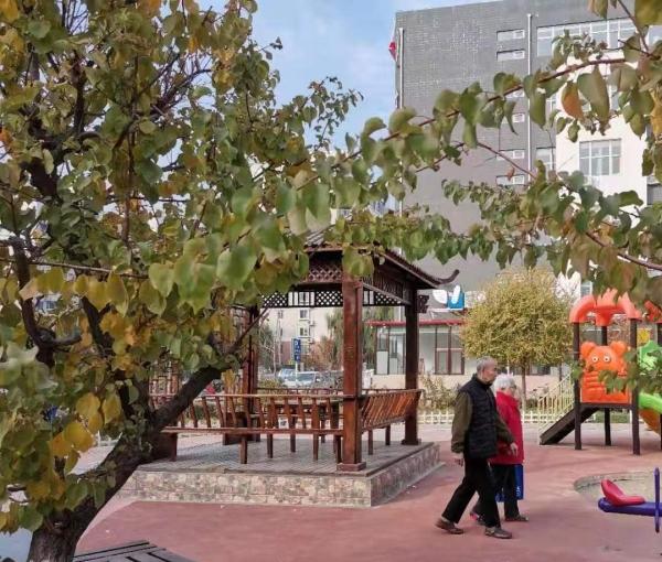 保定市康寿园老年公寓_保定高级的老年护理院怎么样,保定市养老院排名