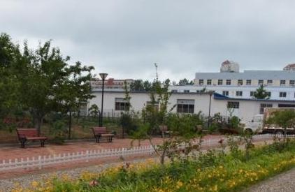 威海莱迪医养中心环境图片