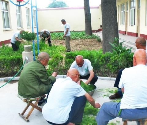 新寨店区域敬老院_石家庄养老院,河北石家庄养老院