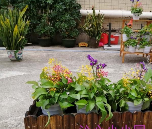 华邦美好家园（东晓南）孝慈苑环境图片