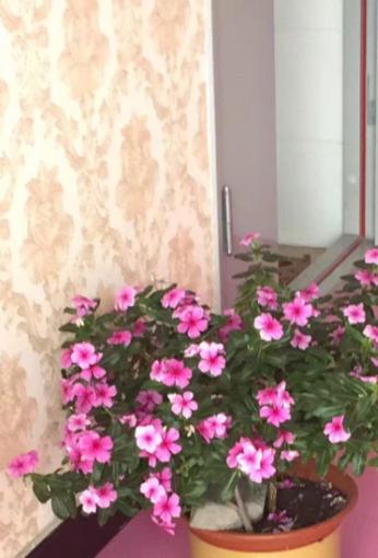 松鹤延年老年公寓_承德老年痴呆老年护理院地址,承德养老院的联系方式