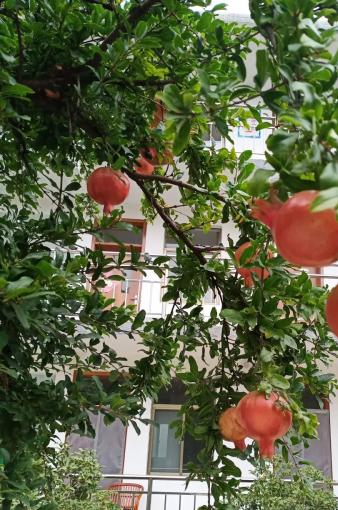 舒雅园颐养院_济宁残疾人老年护理院排名前十,济宁老年医院