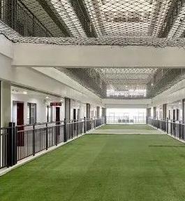 南县精神病医院环境图片