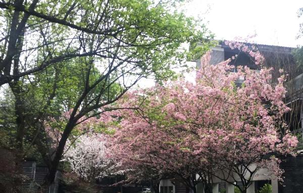 瓶庐.养生度假别墅环境图片