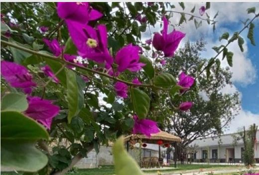 熹年康养中心_攀枝花老年痴呆养老院怎么样,攀枝花养老机构