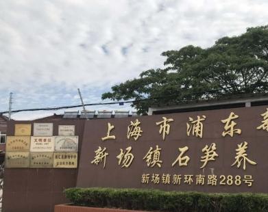 上海市浦东新区新场镇石笋养老院环境图片