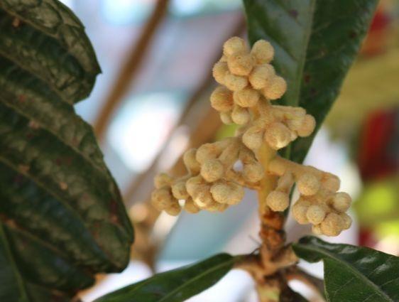 南通市通州区颐和舒雅老年公寓_南通6000元养老院排名前十