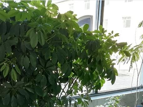 沈阳市于洪区银龄养护中心环境图片