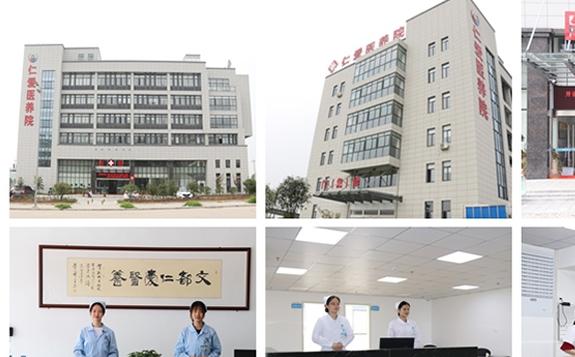 桐城市仁爱医养院_安庆性价比高的养老院介绍几家