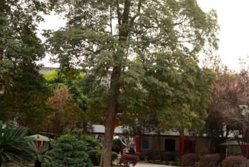 彭州市濛阳敬老院