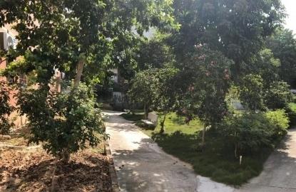 四会市大沙镇康泰苑颐养服务中心_肇庆6000元养老院列举几家,肇庆养老院有哪几家