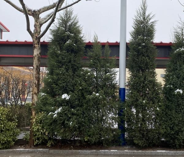 山东健康益寿光年高新区中心敬老院环境图片