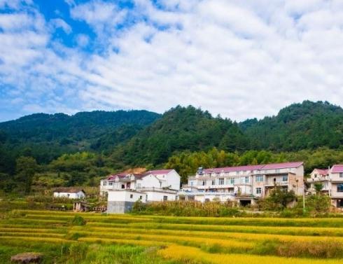 金榜乡村•岳西金榜自然村_安庆比较好的养老社区一般多少钱费用,安庆养老中心