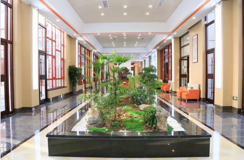 邹鲁鑫琦中医康养院